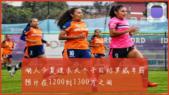 湖人今夏追求大个子目标罗威年薪预计在1200到1300万之间